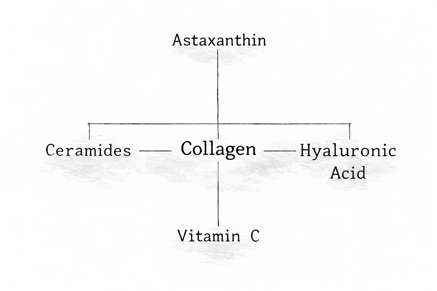 SKIN - Cellular Longevity Protocol